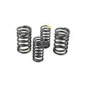 Muelles de valvula motor ZS190 Zongshen Pitbike AllPro
