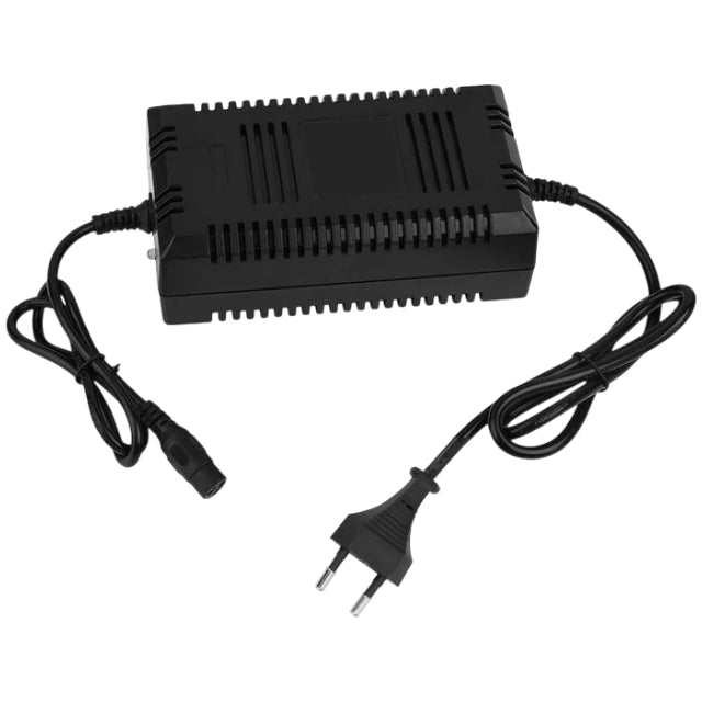 Cargador alta calidad 48V Quad eléctrico QX-E Allpro