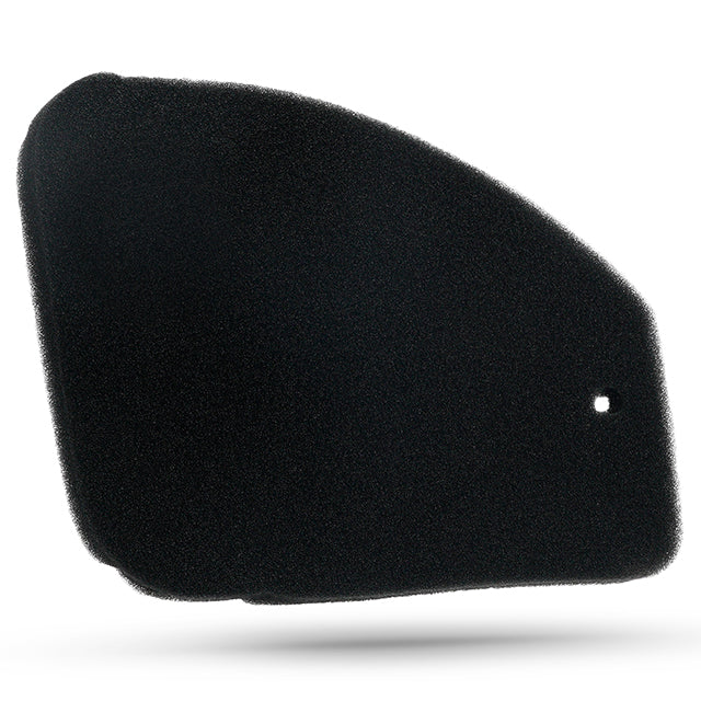 Esponja filtro de aire Peugeot Speedfight 1/2 / Trekker / Vivacity AllPro