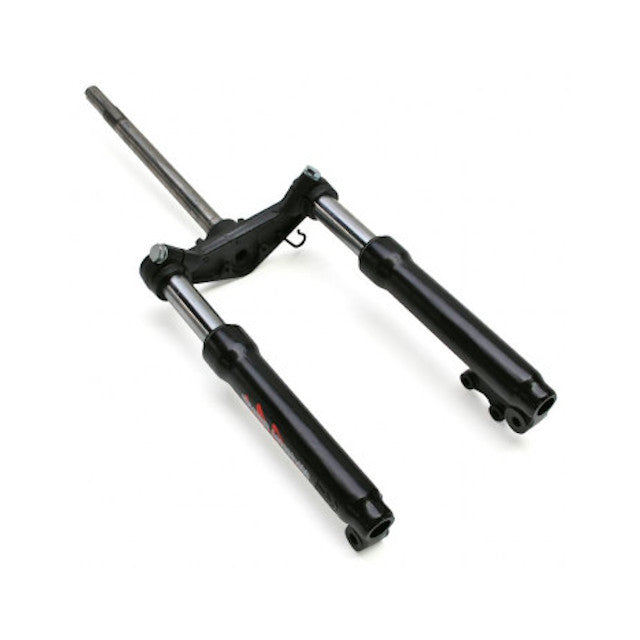 Horquilla completa Yamaha BW'S / MBK Booster 99-03 Allpro