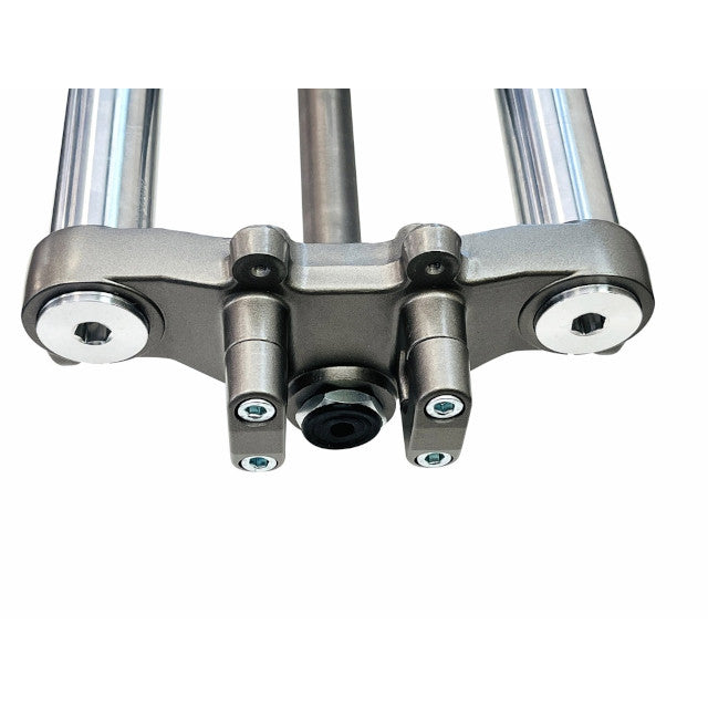 Horquilla delantera completa Rieju MRT 50-125 / Beta RR 50cc Allpro