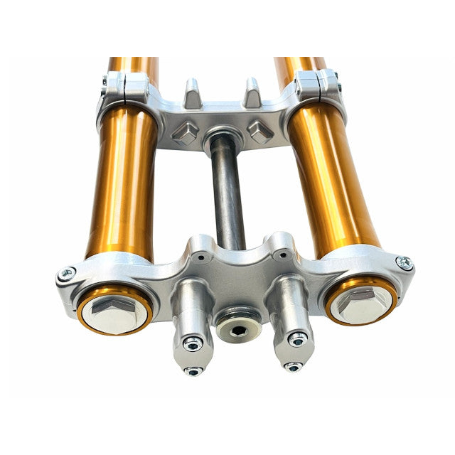 Horquilla invertida Rieju MRT Pro 50cc / Marathon 125cc Allpro
