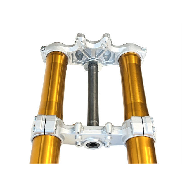 Horquilla invertida Rieju MRT Pro 50cc / Marathon 125cc Allpro