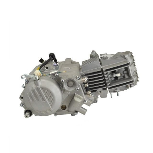Motor ZS212 Zongshen plata Pitbike AllPro